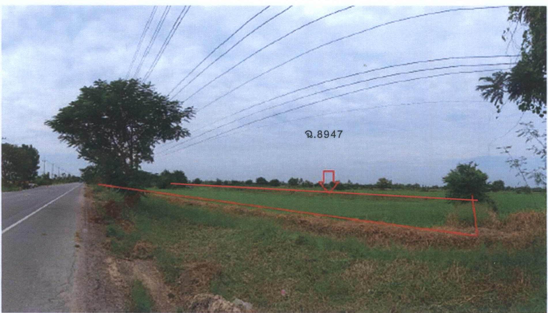รูปที่ดินว่างเปล่า ดอนเจดีย์ ดอนเจดีย์ สุพรรณบุรี