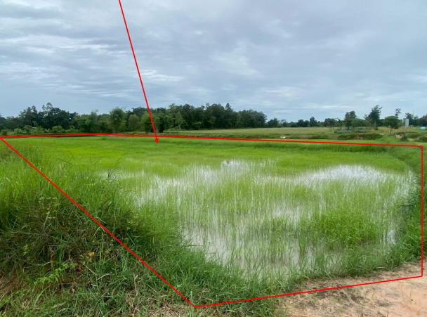 รูปที่ดินว่างเปล่า หนองกุงศรี หนองกุงศรี กาฬสินธุ์