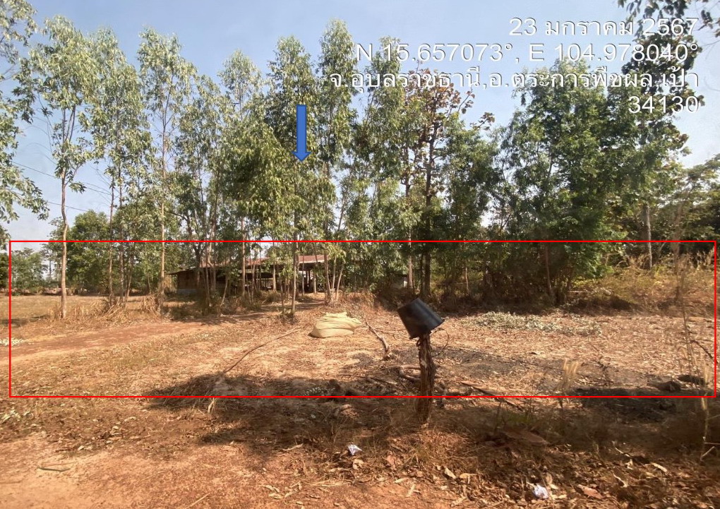 รูปที่ดินพร้อมสิ่งปลูกสร้าง ไหล่ทุ่ง ตระการพืชผล อุบลราชธานี
