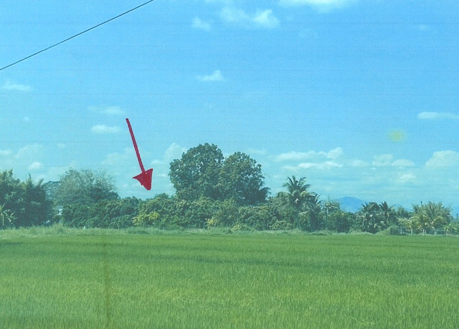 รูปที่ดินว่างเปล่า มะขุนหวาน สันป่าตอง เชียงใหม่