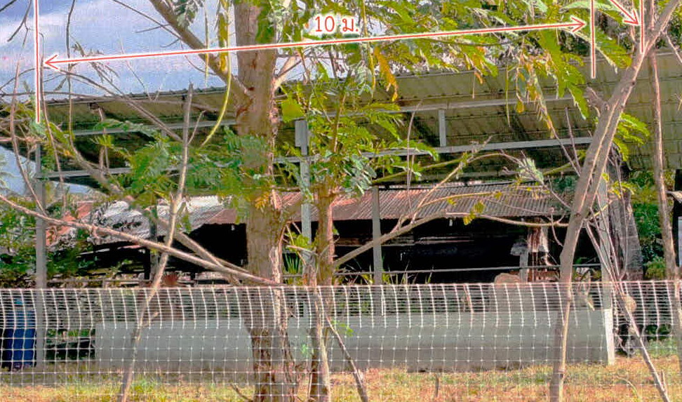 รูปที่ดินพร้อมสิ่งปลูกสร้าง ตาอ็อง เมืองสุรินทร์ สุรินทร์
