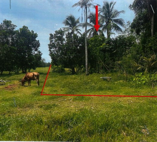 รูปที่ดินว่างเปล่า ท่าม่วง เทพา สงขลา