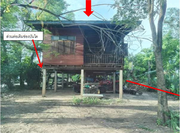 รูปที่ดินพร้อมสิ่งปลูกสร้าง ดงประคำ พรหมพิราม พิษณุโลก