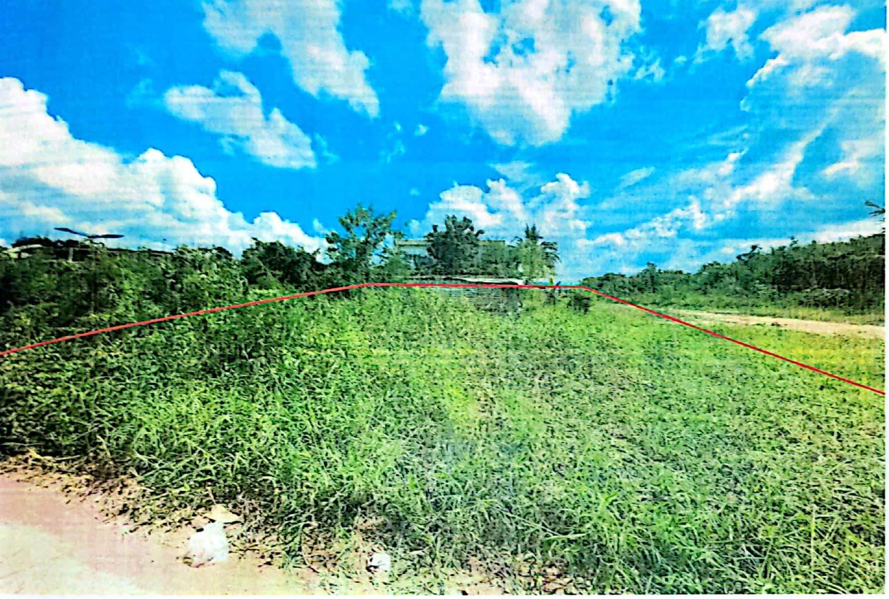 รูปที่ดินว่างเปล่า ช่องสามหมอ แก้งคร้อ ชัยภูมิ