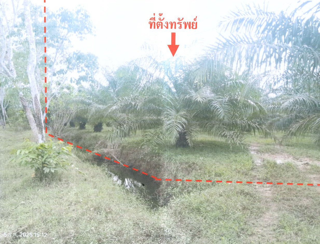 รูปที่ดินว่างเปล่า หลักช้าง ช้างกลาง นครศรีธรรมราช