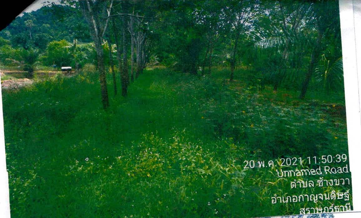 รูปที่ดินว่างเปล่า ช้างขวา กาญจนดิษฐ์ สุราษฎร์ธานี