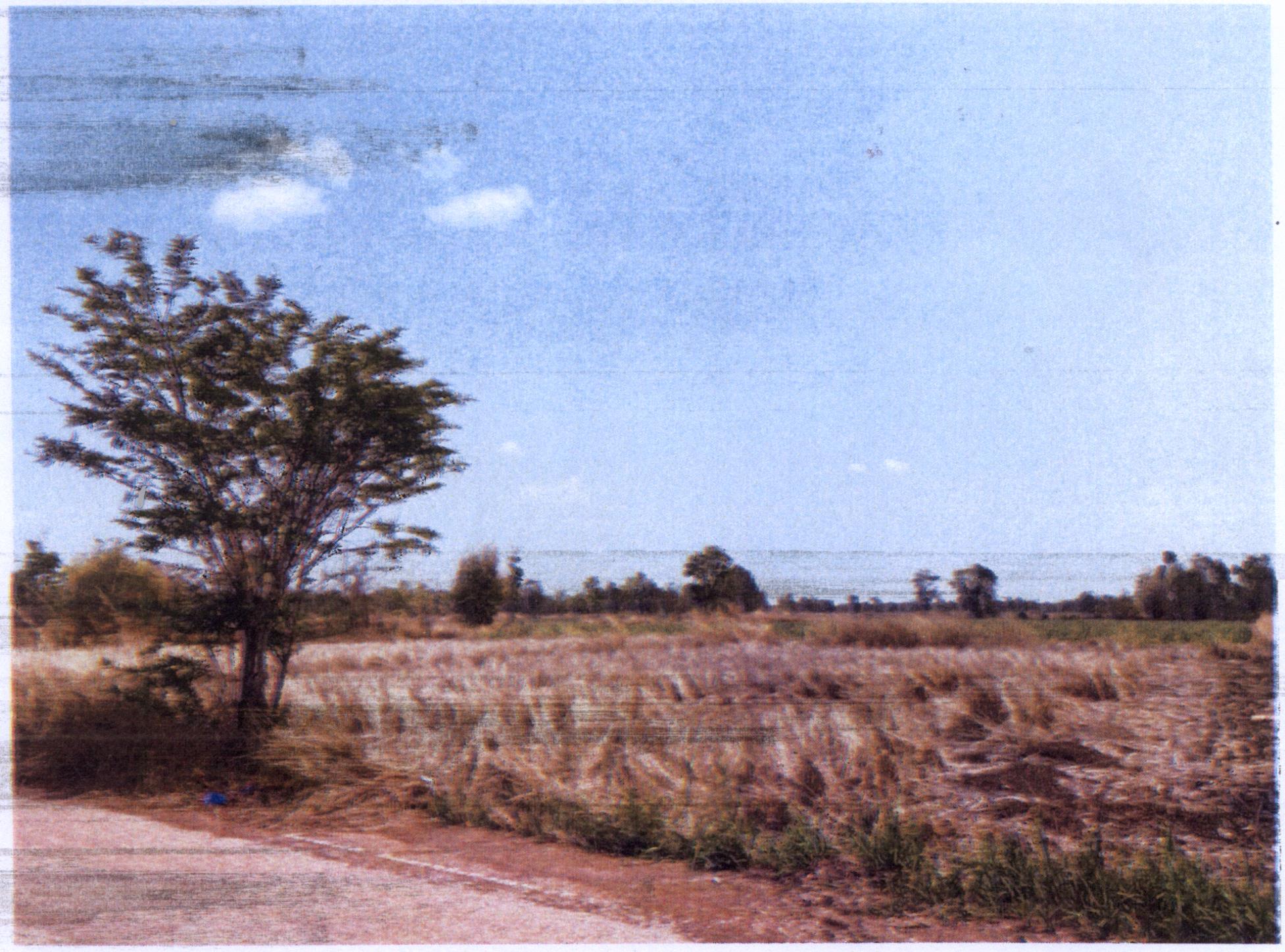 รูปที่ดินว่างเปล่า บ้านชัย บ้านดุง อุดรธานี