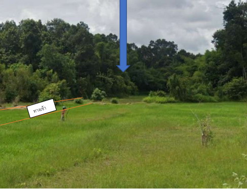รูปที่ดินว่างเปล่า หนองบ่อ เมืองอุบลราชธานี อุบลราชธานี