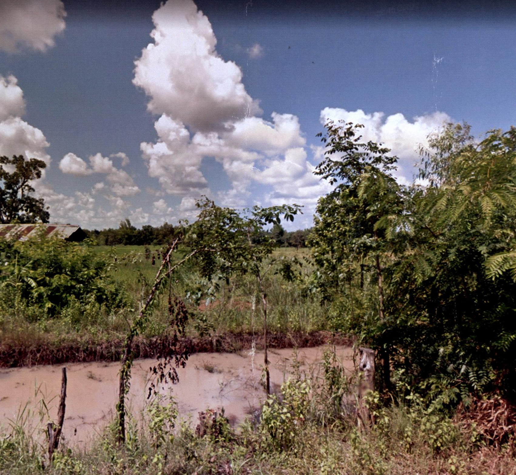 รูปที่ดินว่างเปล่า หนองสนม วานรนิวาส สกลนคร
