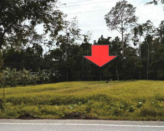 รูปที่ดินว่างเปล่า โมคลาน ท่าศาลา นครศรีธรรมราช