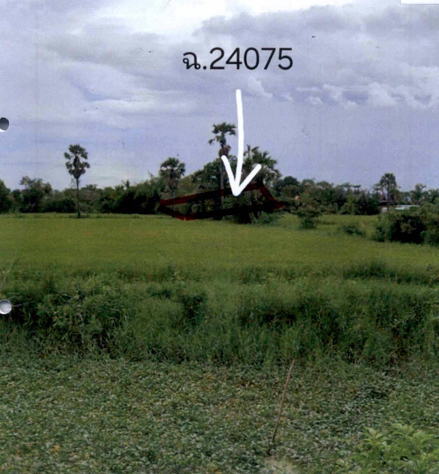 รูปที่ดินว่างเปล่า บ้านหาด บ้านลาด เพชรบุรี