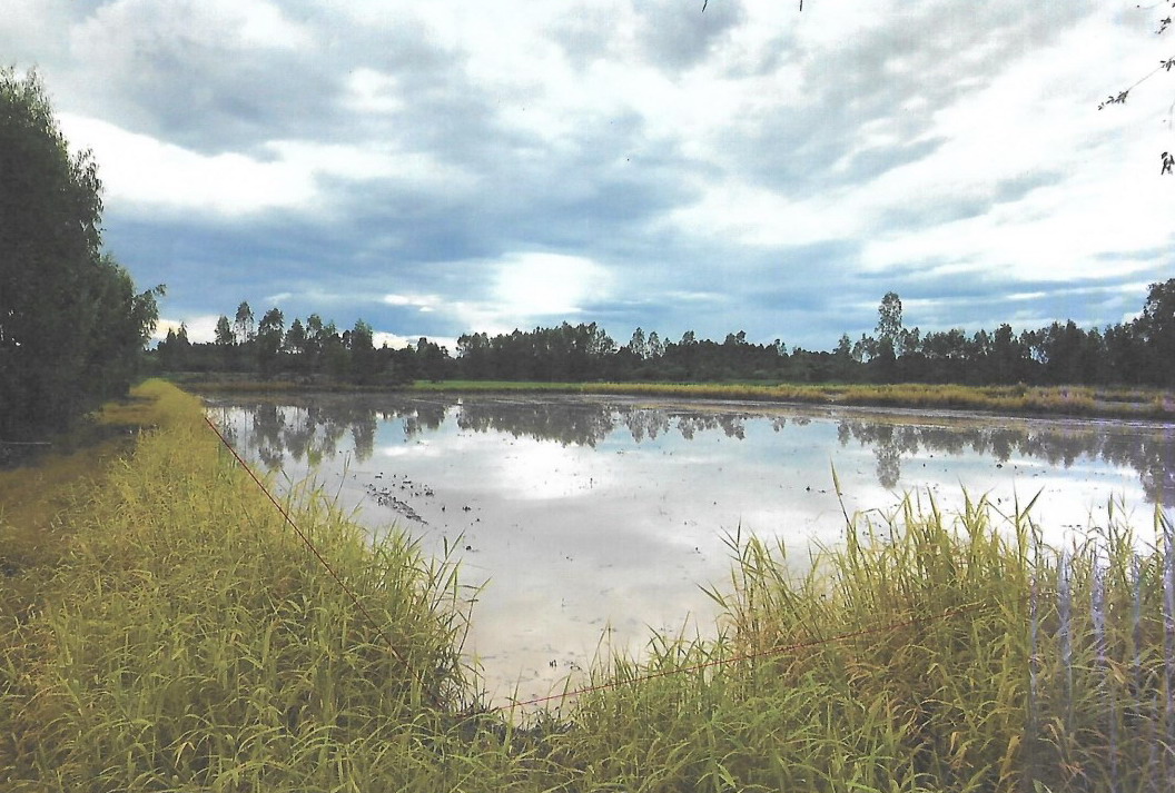 รูปที่ดินว่างเปล่า ดอนแตง ขาณุวรลักษบุรี กำแพงเพชร