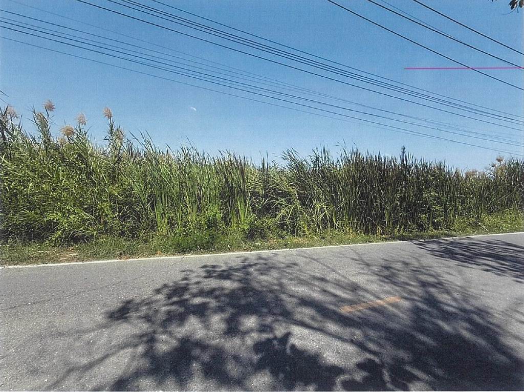 รูปที่ดินว่างเปล่า บางบัวทอง(หนองเชียงโคต) บางบัวทอง นนทบุรี