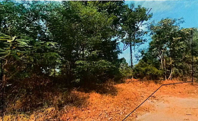 รูปที่ดินว่างเปล่า พันดอน กุมภวาปี อุดรธานี