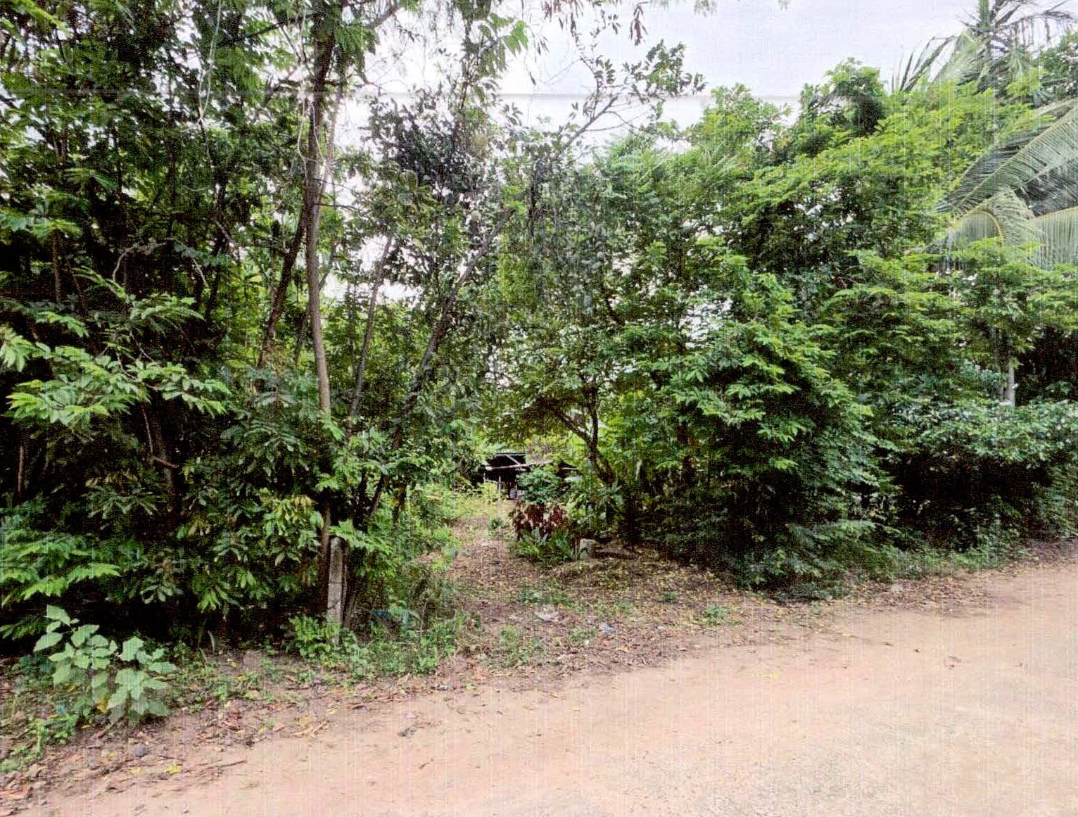 รูปที่ดินว่างเปล่า ซำ เมืองศรีสะเกษ ศรีสะเกษ
