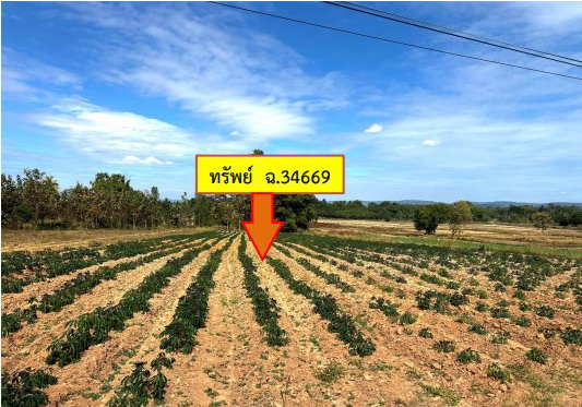 รูปที่ดินว่างเปล่า มหาไชย สมเด็จ กาฬสินธุ์