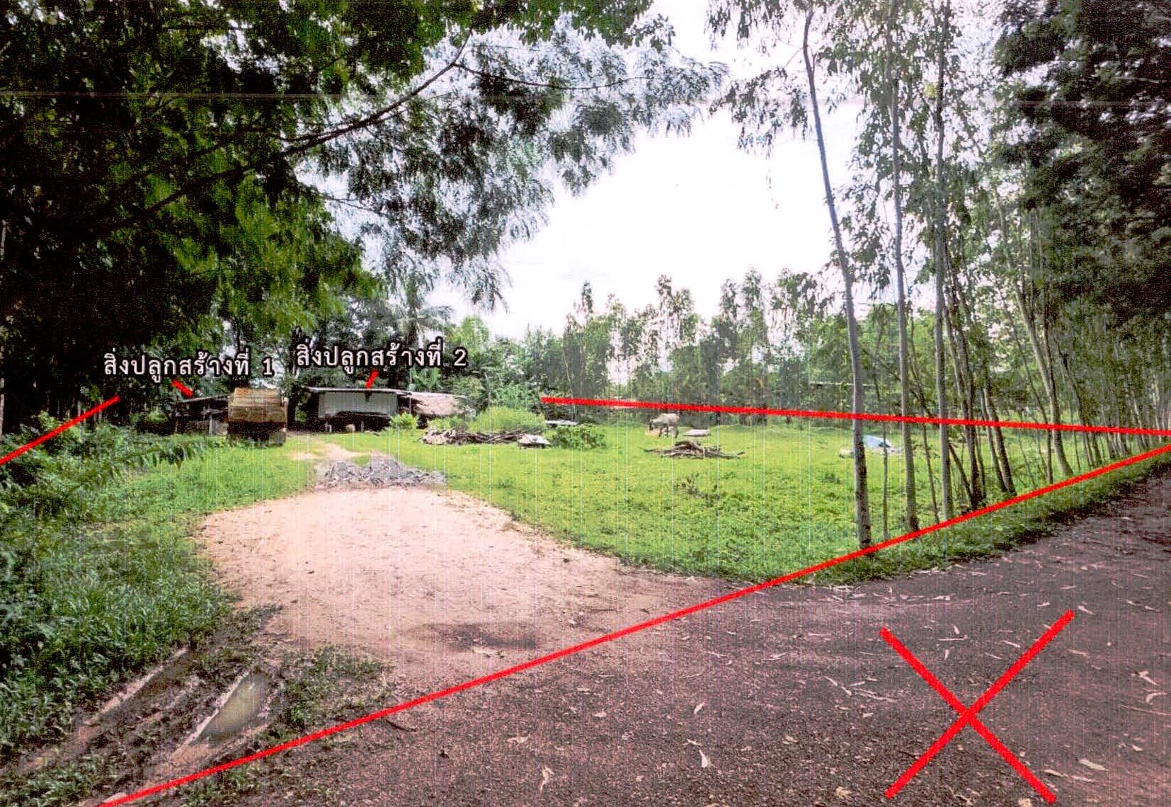 รูปที่ดินพร้อมสิ่งปลูกสร้าง ซำ เมืองศรีสะเกษ ศรีสะเกษ