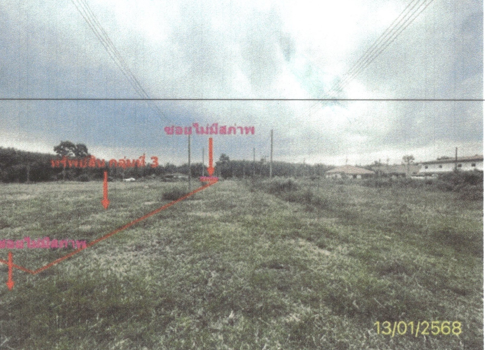 รูปที่ดินว่างเปล่า เขาชัยสน เขาชัยสน พัทลุง