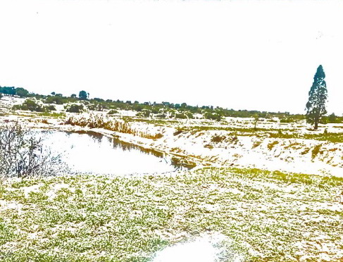 รูปที่ดินว่างเปล่า หนองสรวง ขามทะเลสอ นครราชสีมา
