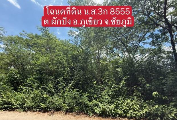 รูปที่ดินว่างเปล่า ผักปัง ภูเขียว ชัยภูมิ