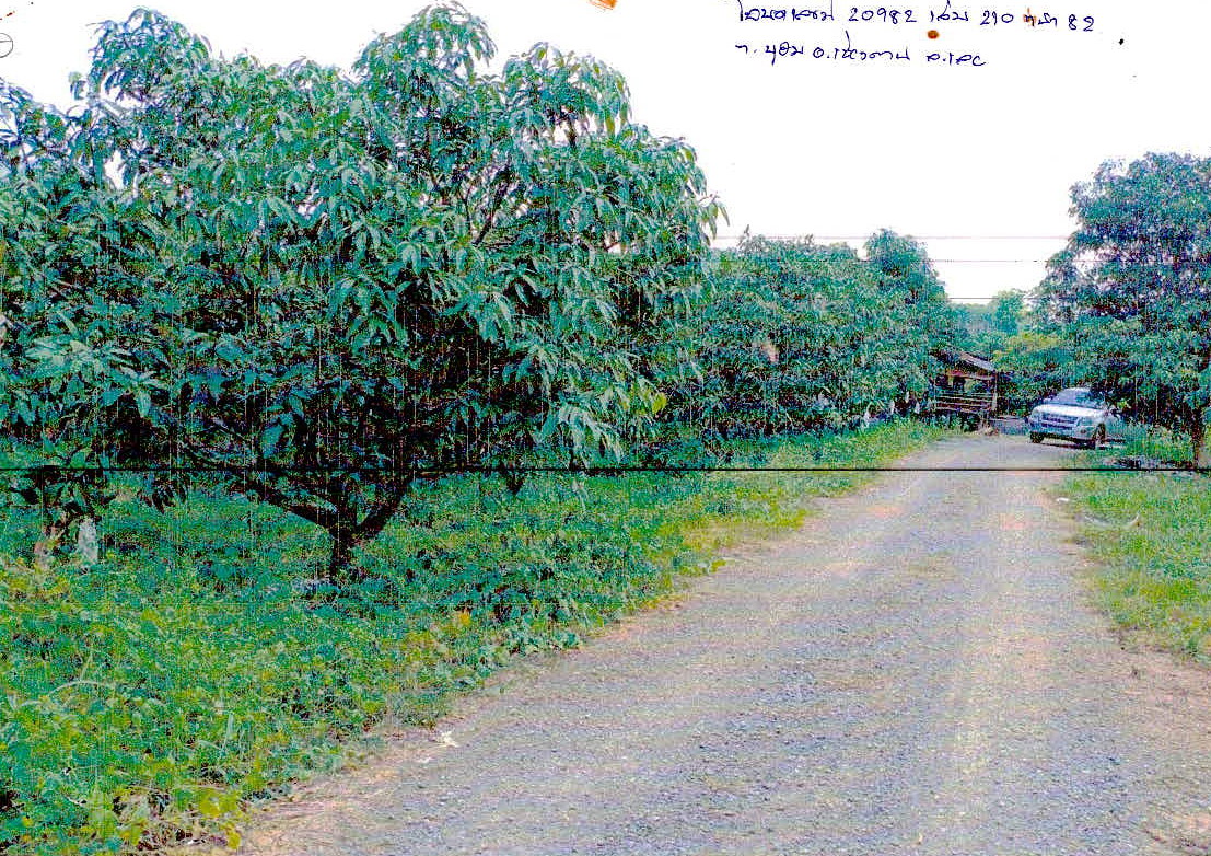 รูปที่ดินว่างเปล่า บุฮม เชียงคาน เลย
