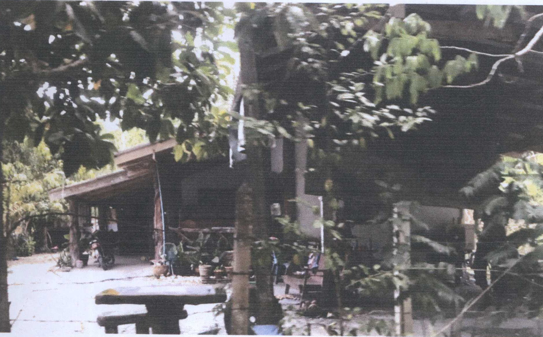 รูปที่ดินพร้อมสิ่งปลูกสร้าง หนองหงส์ ทุ่งสง นครศรีธรรมราช