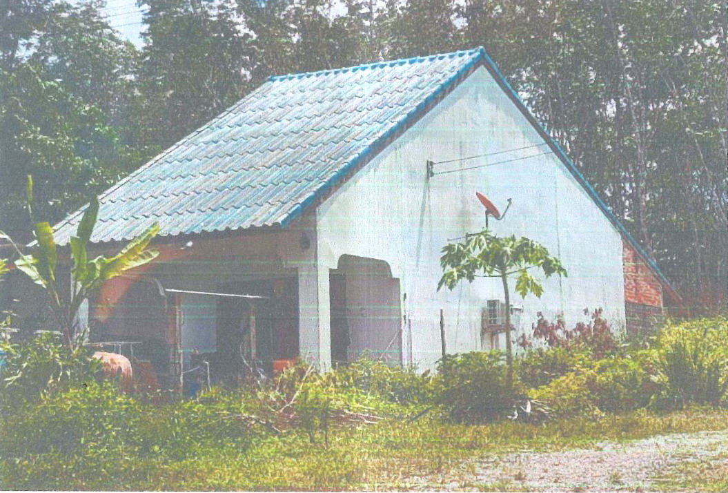 รูปที่ดินพร้อมสิ่งปลูกสร้าง บ้านลำนาว บางขัน นครศรีธรรมราช