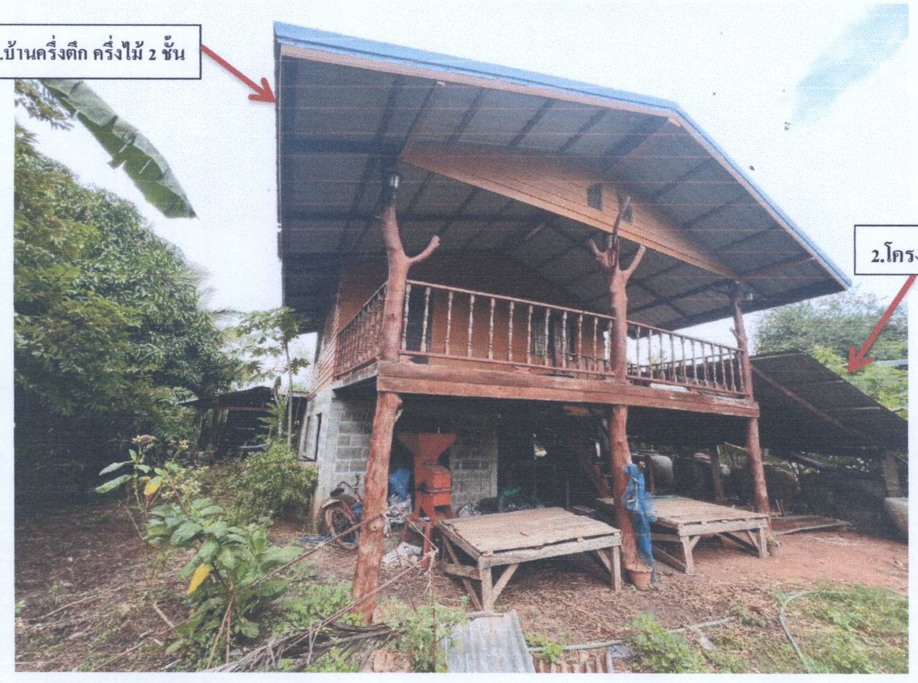 รูปที่ดินพร้อมสิ่งปลูกสร้าง ชีวึก ขามสะแกแสง นครราชสีมา