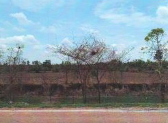 รูปที่ดินว่างเปล่า ขัวก่าย วานรนิวาส สกลนคร