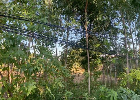 รูปที่ดินว่างเปล่า กุดรัง กุดรัง มหาสารคาม