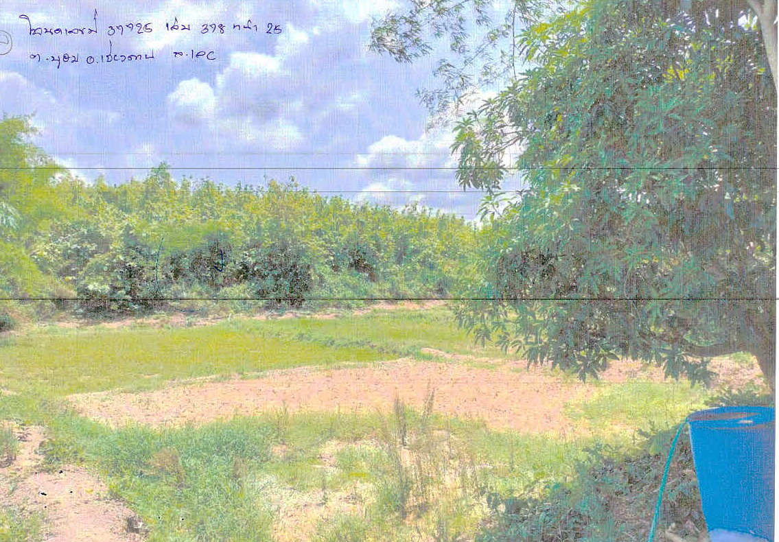 รูปที่ดินว่างเปล่า บุฮม เชียงคาน เลย