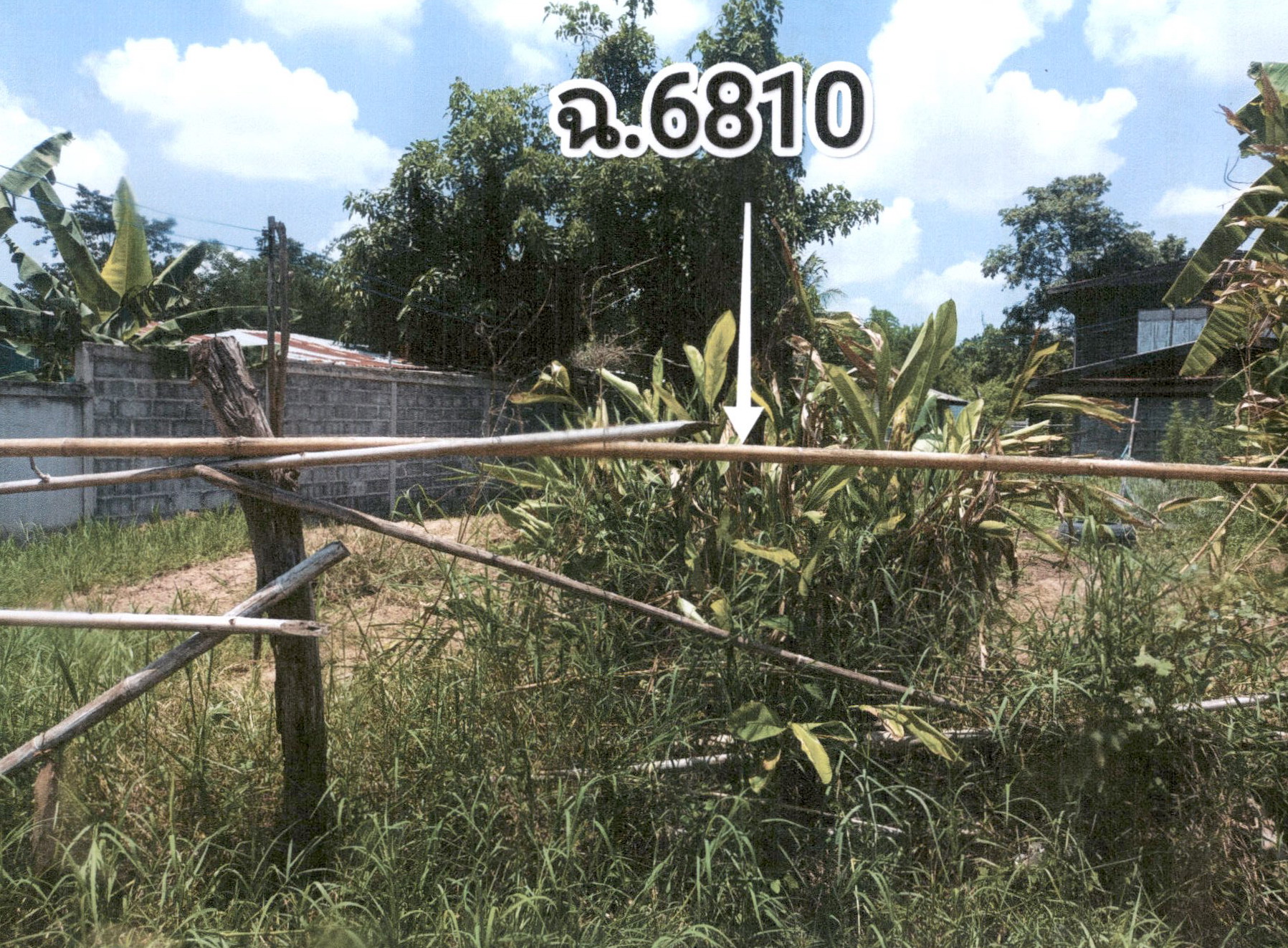 รูปที่ดินว่างเปล่า ร่องคำ ร่องคำ กาฬสินธุ์