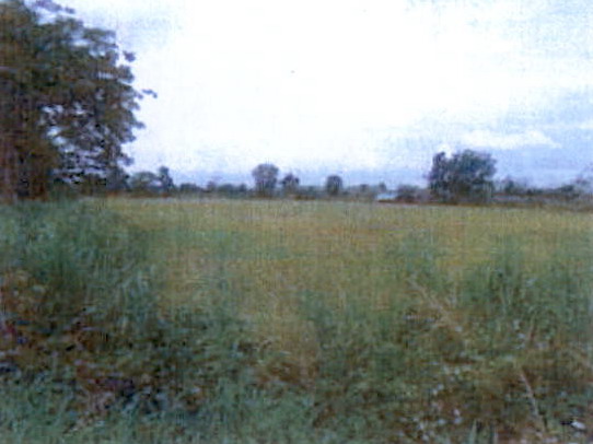 รูปที่ดินว่างเปล่า สันมะเค็ด พาน เชียงราย