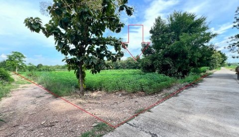 รูปที่ดินว่างเปล่า นครชุม เมืองกำแพงเพชร กำแพงเพชร