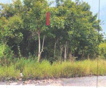 รูปที่ดินว่างเปล่า หนองปลิง เมืองนครสวรรค์ นครสวรรค์