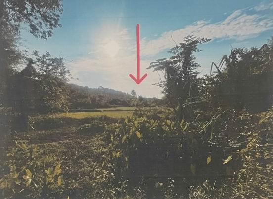รูปที่ดินว่างเปล่า นาหนาด ธาตุพนม นครพนม