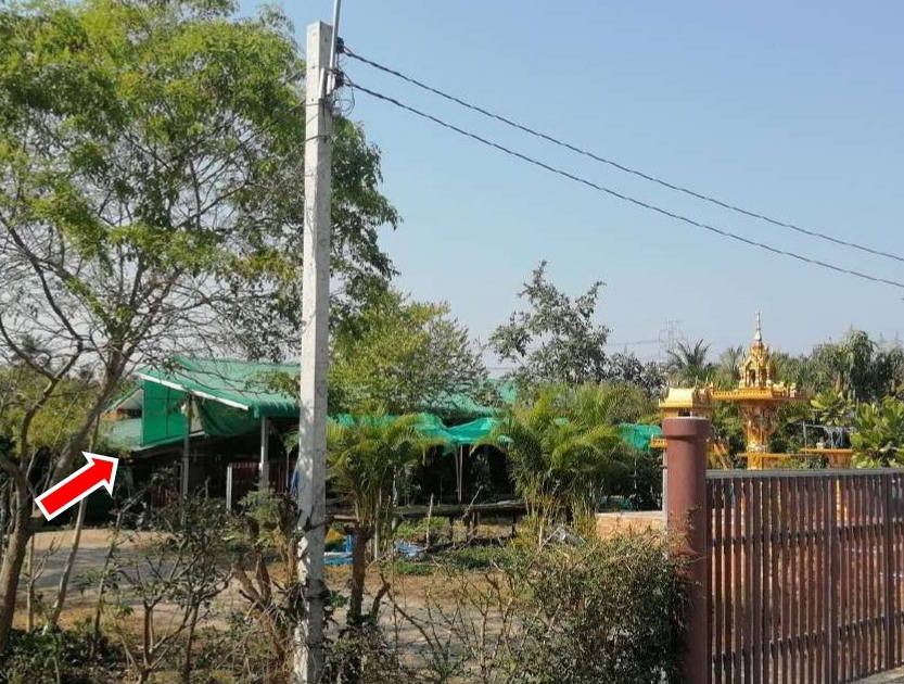 รูปที่ดินพร้อมสิ่งปลูกสร้าง ท่าชุมพล โพธาราม ราชบุรี