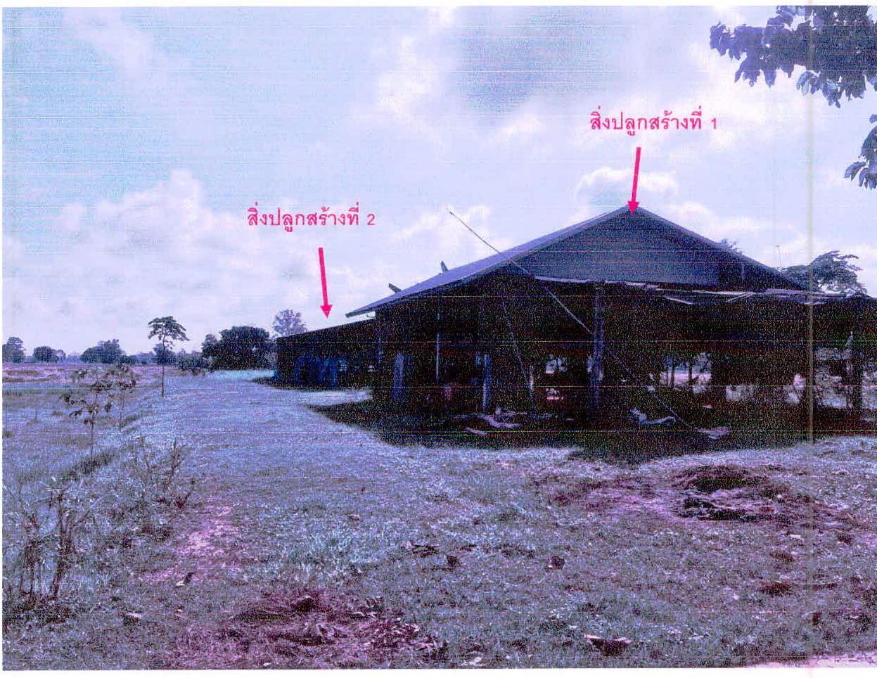 รูปที่ดินพร้อมสิ่งปลูกสร้าง ศรีตระกูล ขุขันธ์ ศรีสะเกษ
