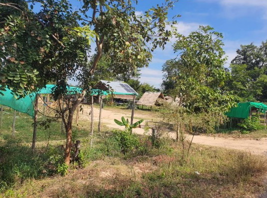 รูปที่ดินพร้อมสิ่งปลูกสร้าง บ้านดู่ อาจสามารถ ร้อยเอ็ด