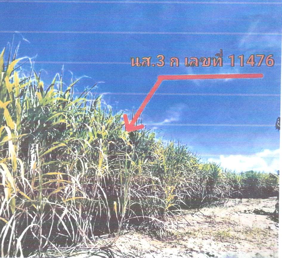 รูปที่ดินว่างเปล่า บ้านเขว้า บ้านเขว้า ชัยภูมิ