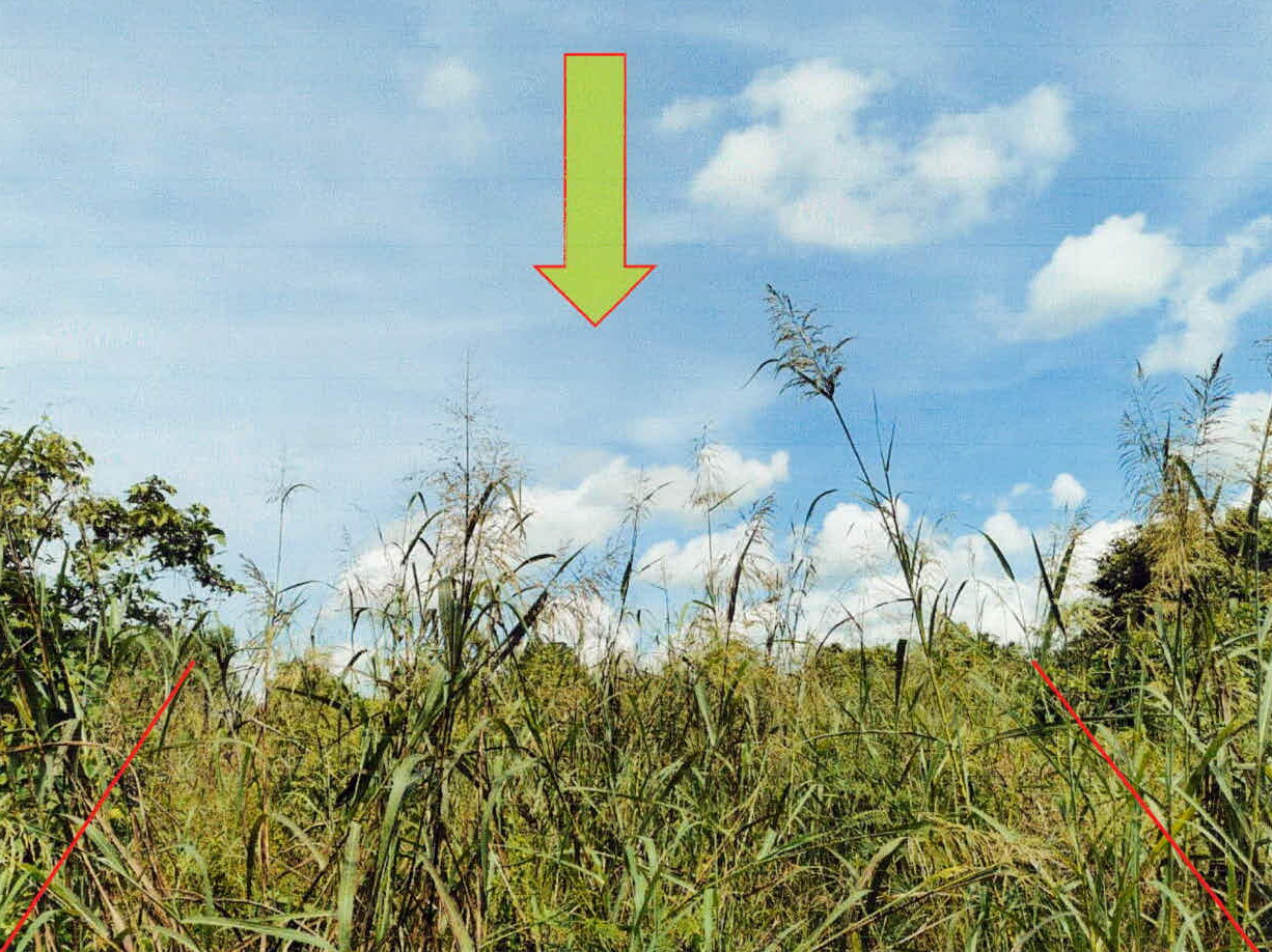 รูปที่ดินว่างเปล่า สงเปือย คำเขื่อนแก้ว ยโสธร