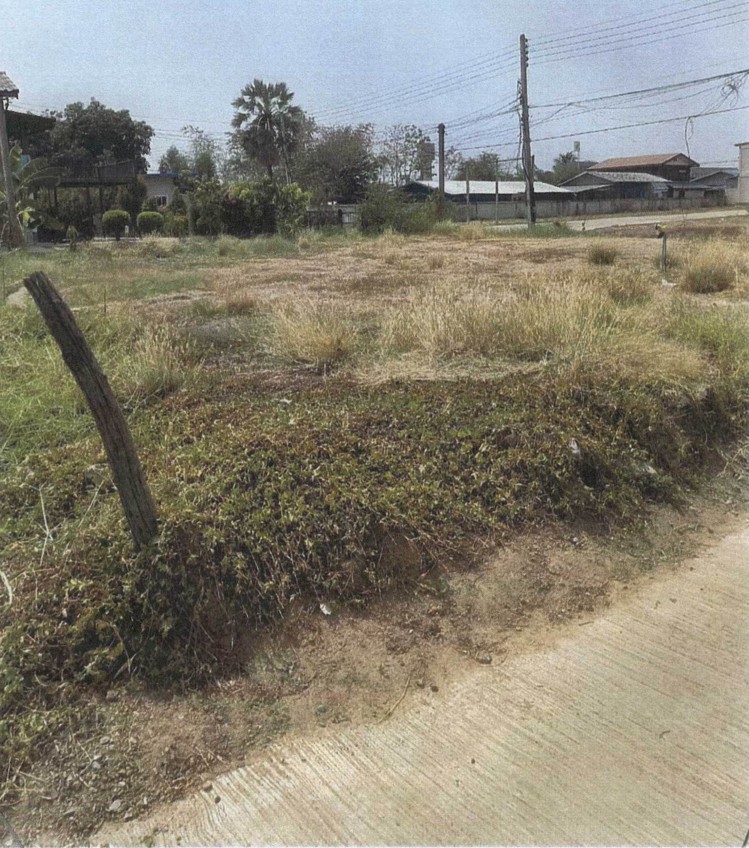 รูปที่ดินว่างเปล่า หนองบัว หนองบัว นครสวรรค์