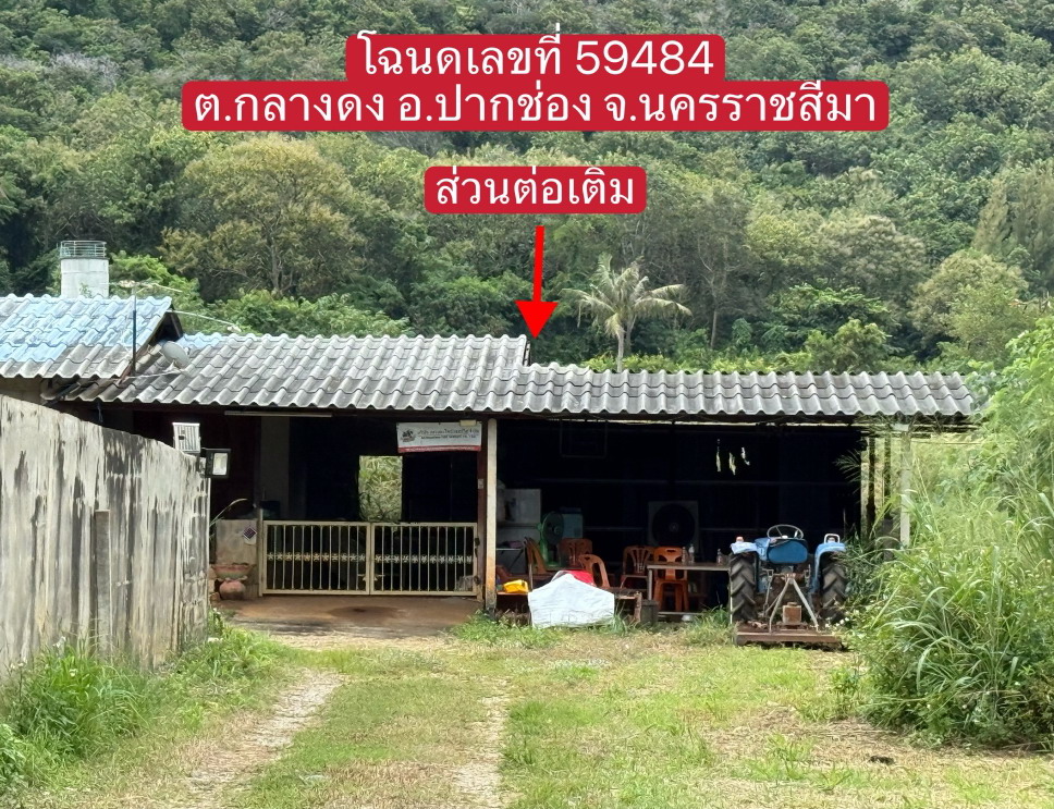 รูปที่ดินพร้อมสิ่งปลูกสร้าง กลางดง ปากช่อง นครราชสีมา