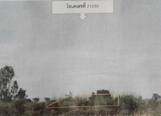 รูปที่ดินว่างเปล่า บึงอ้อ ขามทะเลสอ นครราชสีมา