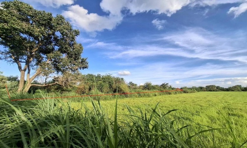 รูปที่ดินว่างเปล่า ค้อวัง ค้อวัง ยโสธร