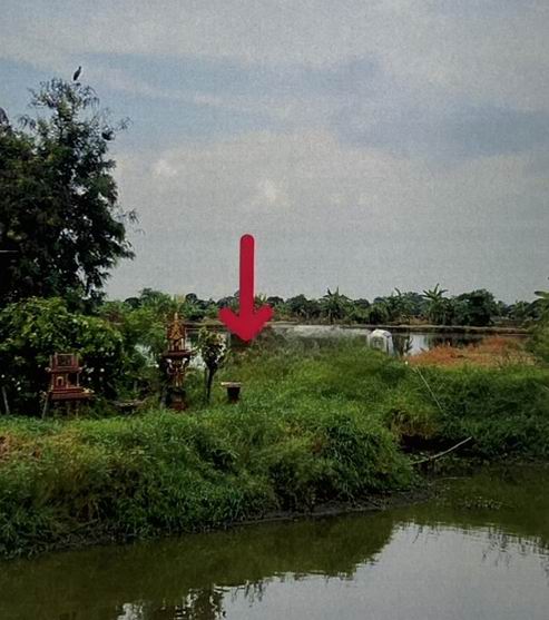 รูปที่ดินว่างเปล่า บางเสาธง บางเสาธง สมุทรปราการ