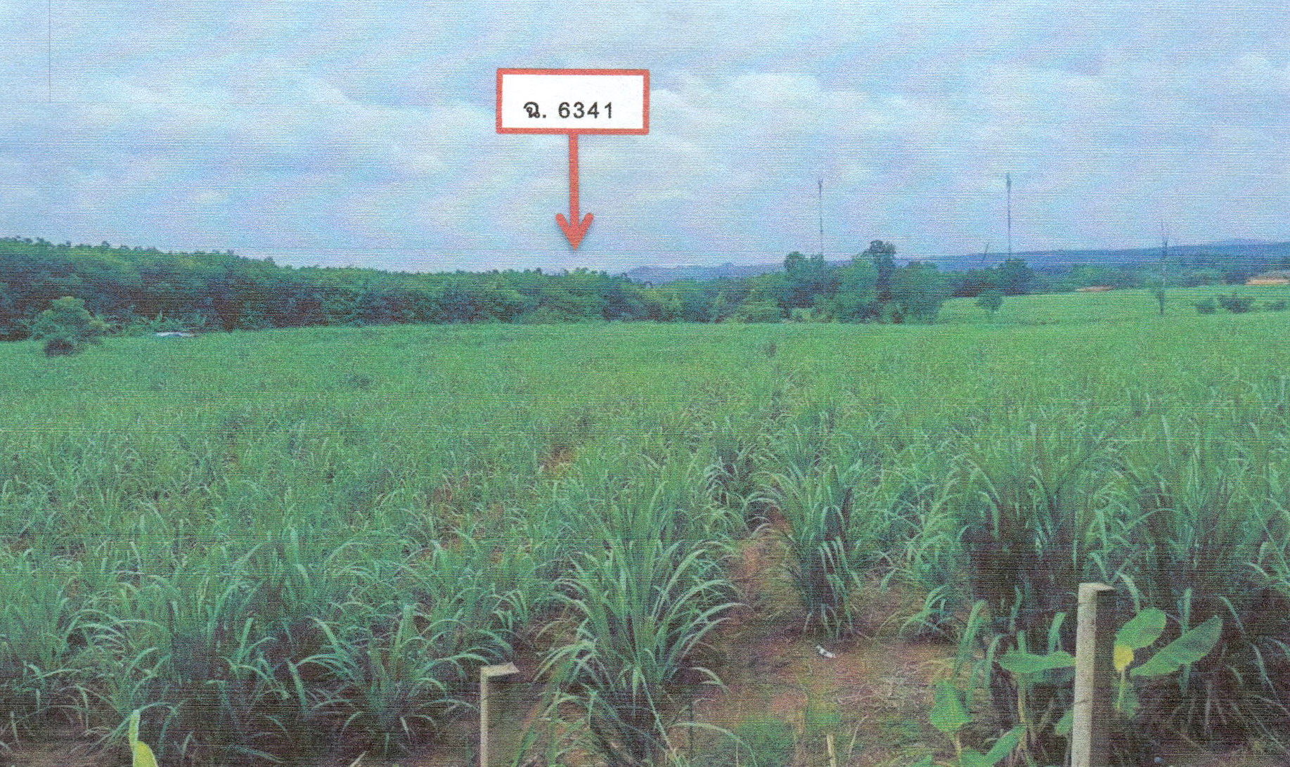รูปที่ดินว่างเปล่า เอราวัณ เอราวัณ เลย