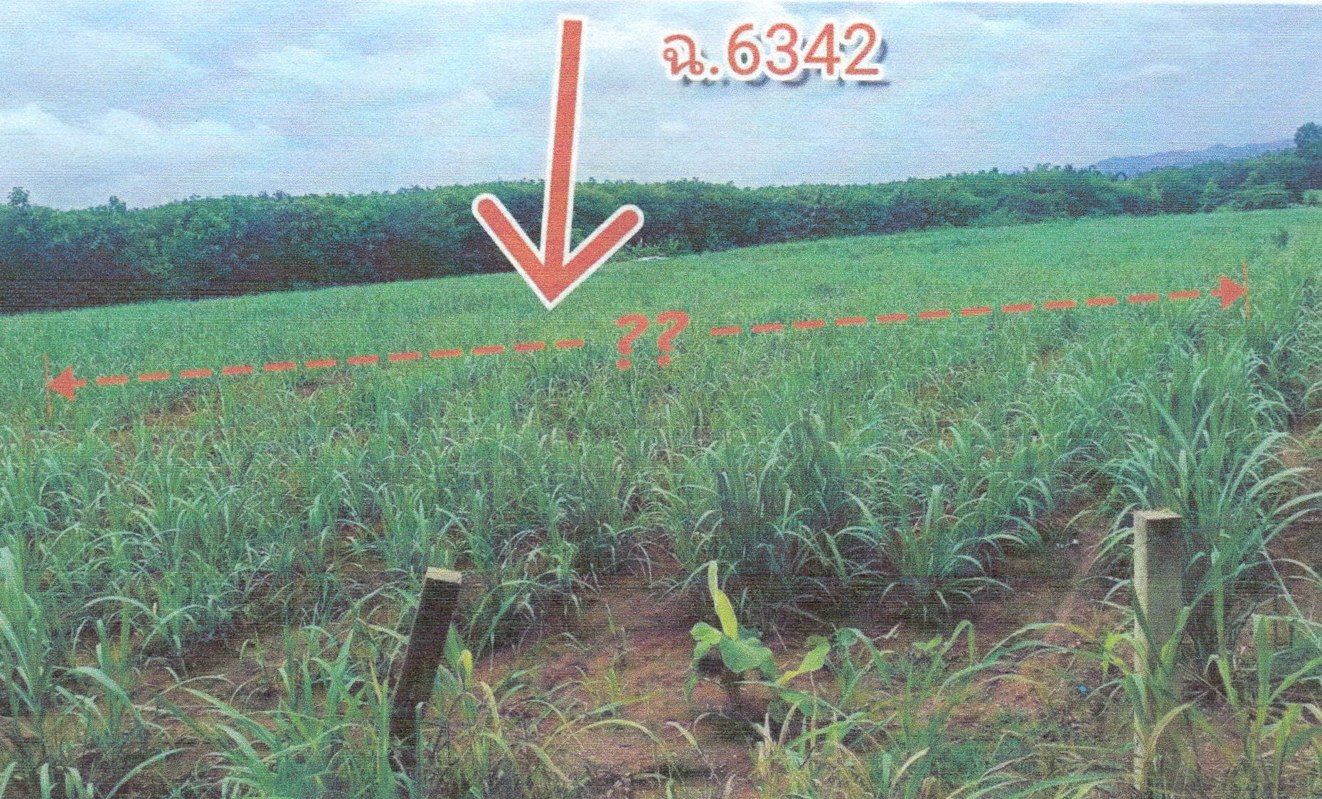 รูปที่ดินว่างเปล่า เอราวัณ เอราวัณ เลย