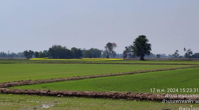 รูปที่ดินว่างเปล่า หนองแขม พรหมพิราม พิษณุโลก