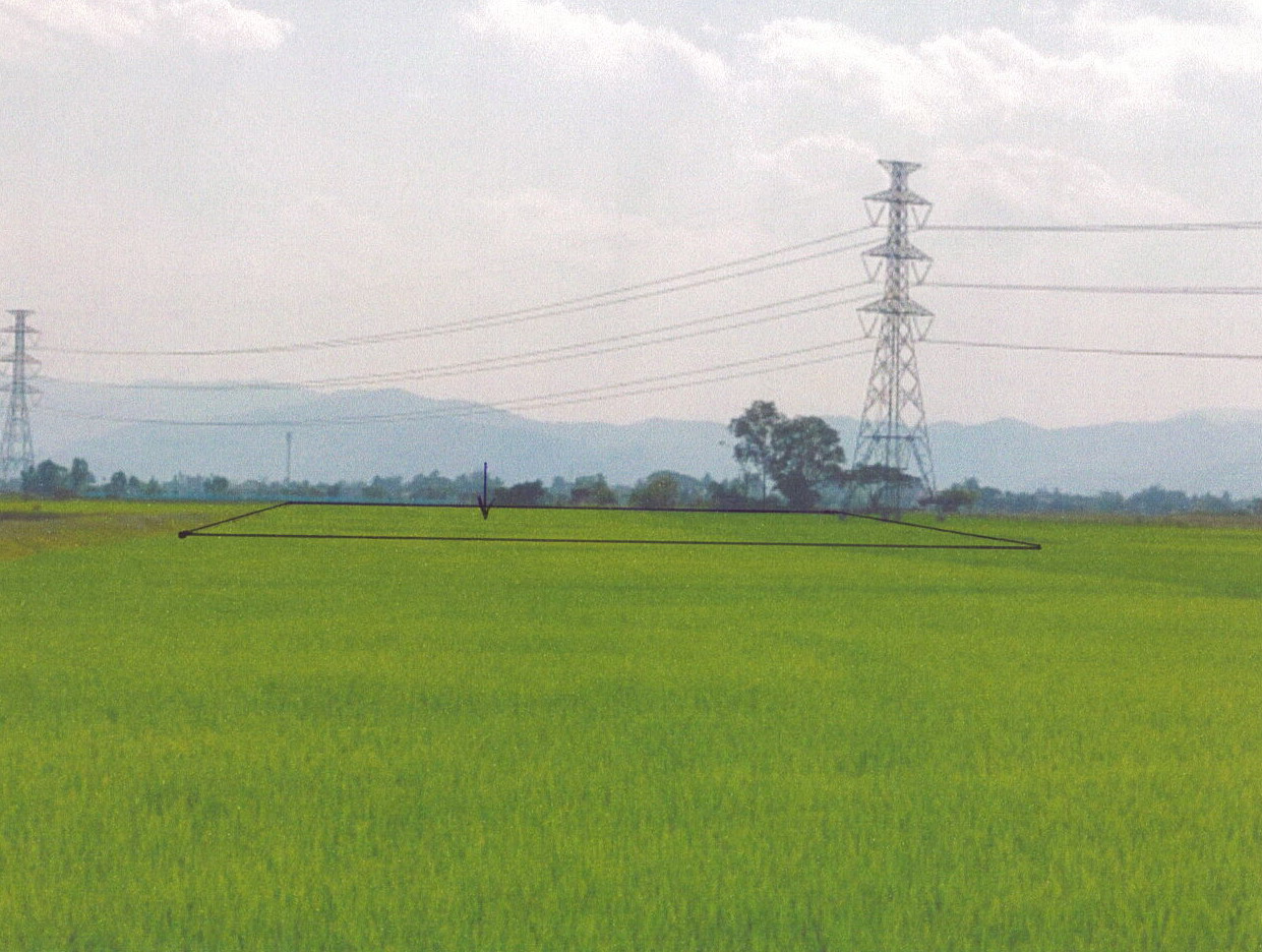 รูปที่ดินว่างเปล่า สันกลาง พาน เชียงราย